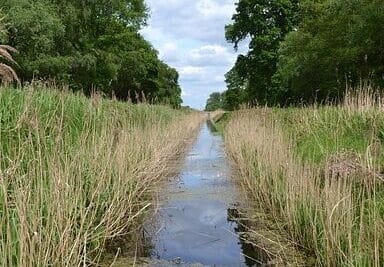 fen oacute 9